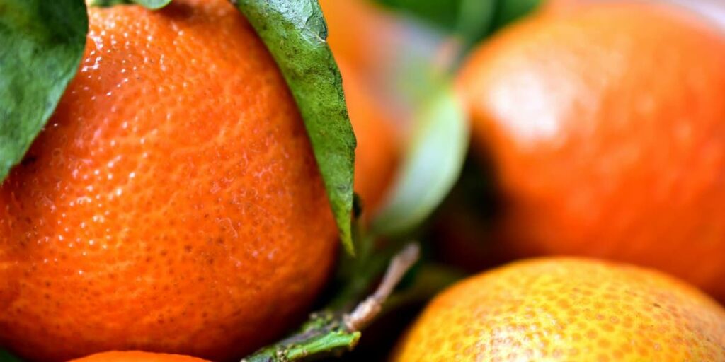 bowl of oranges