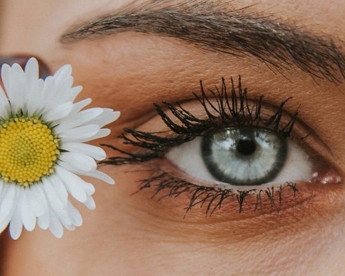Eyebrow Tint Beauty Treatment